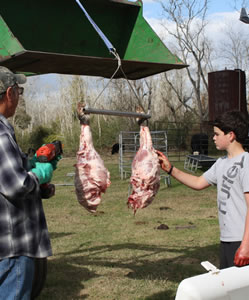Deer Hanger Deer Hanger