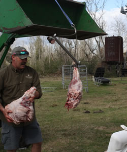 Deer Skinning Hanger Deer Skinning Hanger